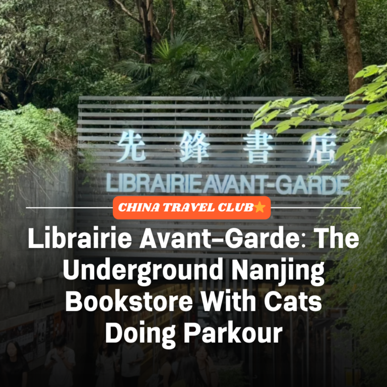 Librairie Avant-Garde: Nanjing’s Underground Bookstore Where Cats Do Parkour